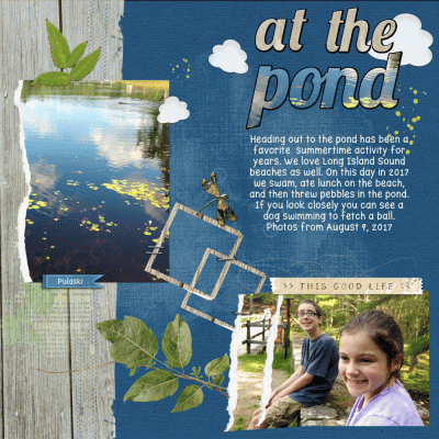 At the Pond 2017