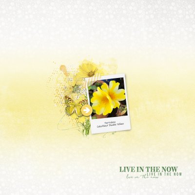 Live In The Now