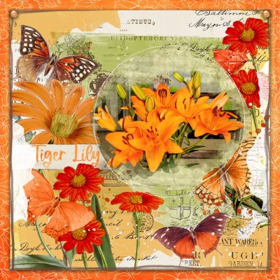 Tiger Lily