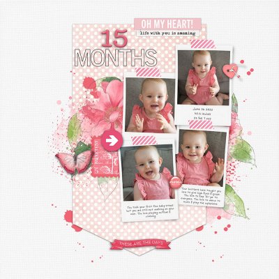 15 months (SSL-tagged)