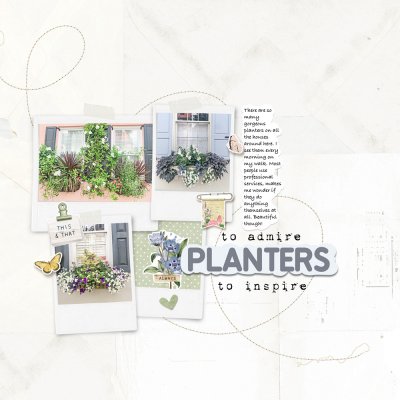 Planters.jpg