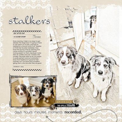 Stalkers