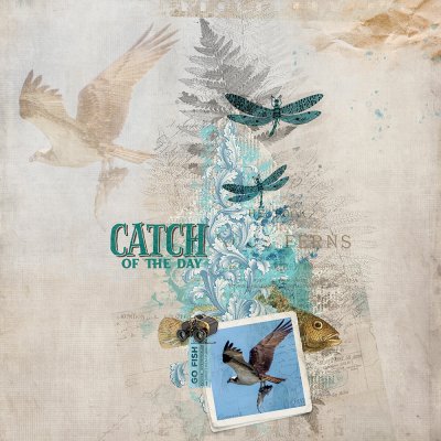 Today's Catch