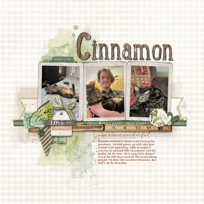 AAY Family: Cinnamon