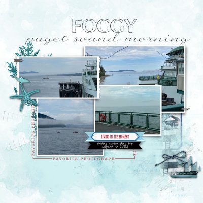 2022 08 09 Foggy Puget Sound Morning 30MM