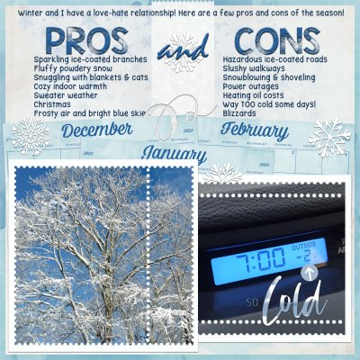Pros and Cons of Winter