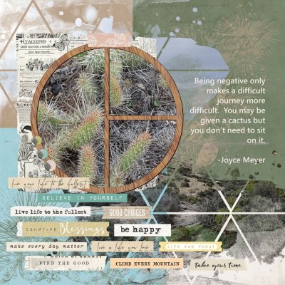 Get Inspired-Cactus Reflection