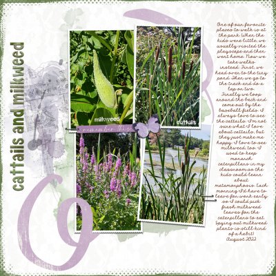 Cattails & Milkweed