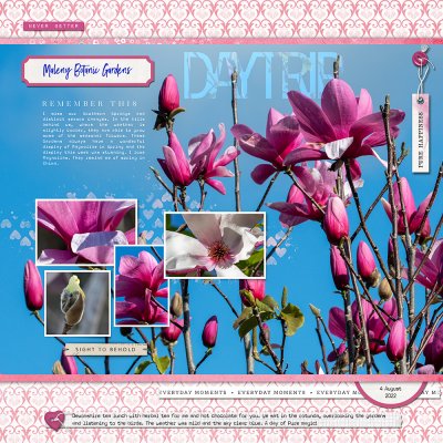 Magnolia Spring