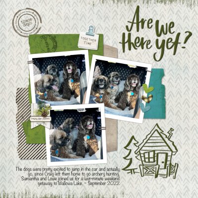 Are We There Yet?