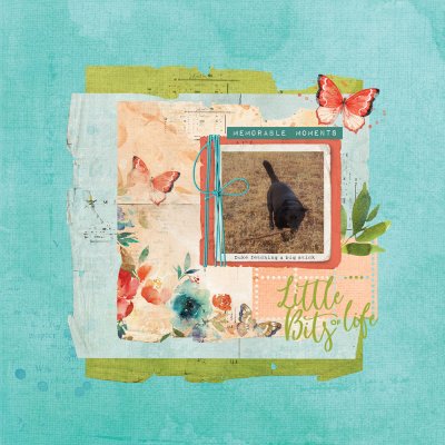 Little Bits of Life