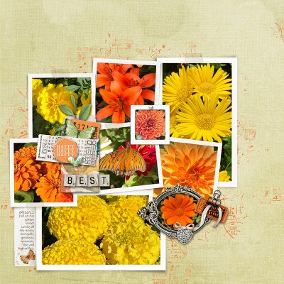 Fall Flowers 2022