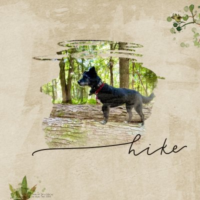 Hike