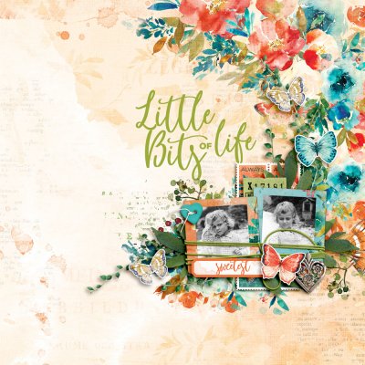 Little Bits of Life