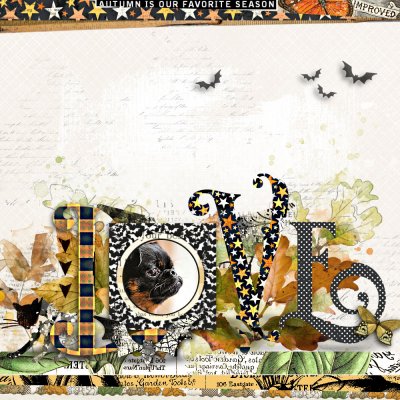 AUTUMN LOVE