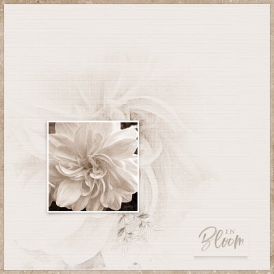 dahlia-sepia-1000.jpg