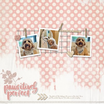 Pawsitively Perfect