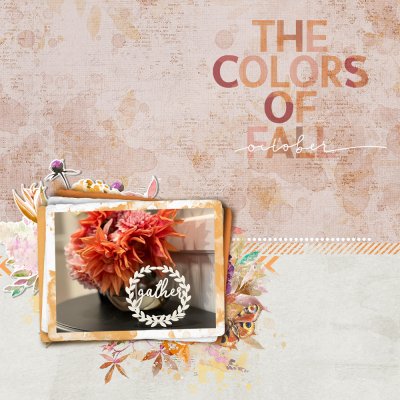 Colours of fall