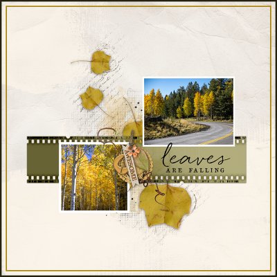 Leaves are Falling