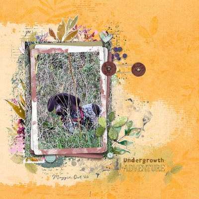 Undergrowth Adventures