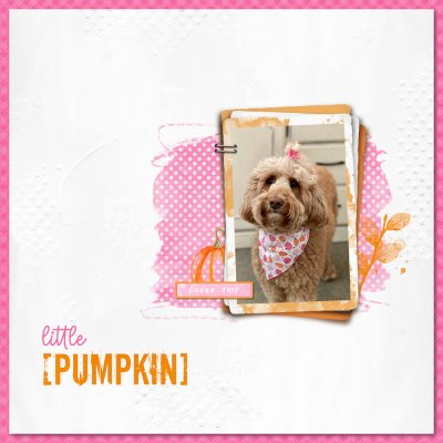 30 MM - Little Pumpkin