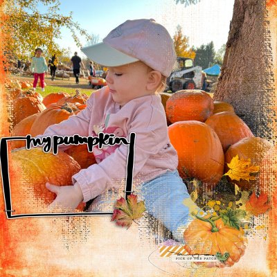 my pumpkin