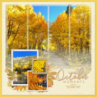 California Fall Colors - Scraplift Chain