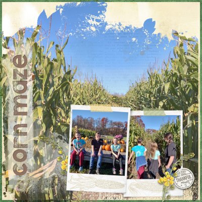 Corn Maze Oct 2022