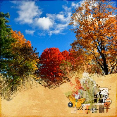 Colors of Fall
