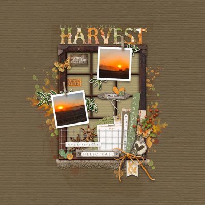 Harvest time