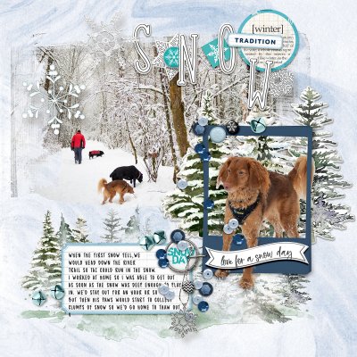 Winter Tradition - AAY