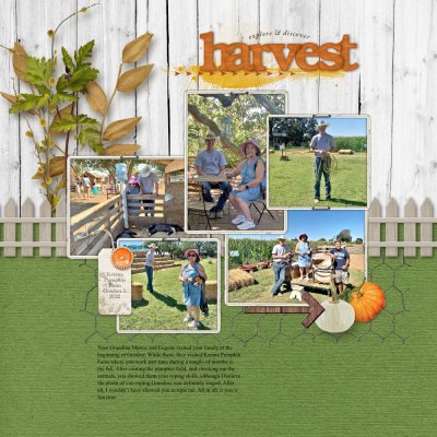 11-16 Get Inspired: Harvest.jpeg