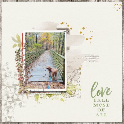 Get Inspired - Love fall