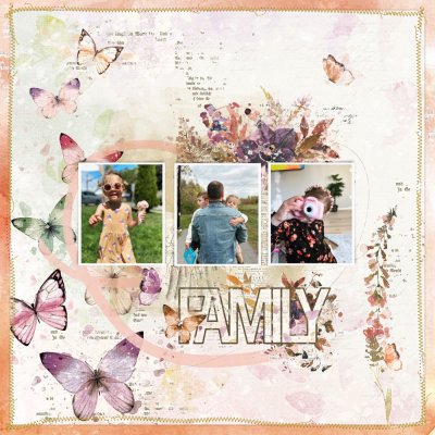 SSL 11-19 Family