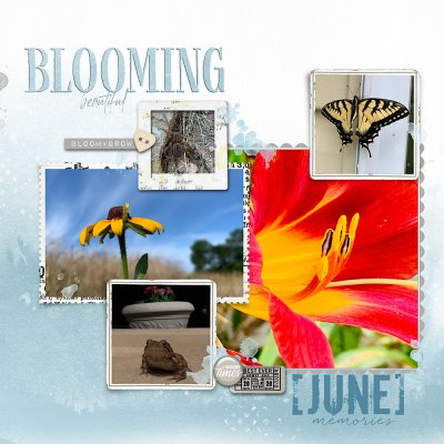 Blooming