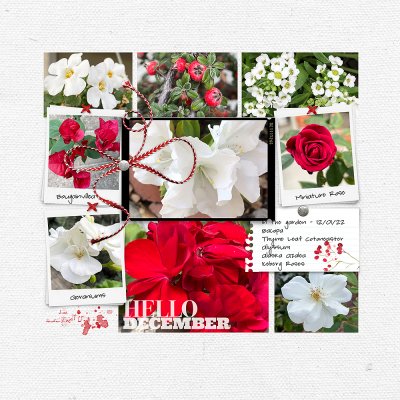 Hello December