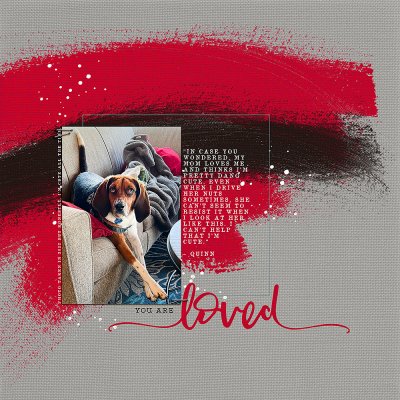 Quinn - You Are Loved