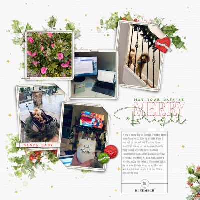 Days of December - 12/5