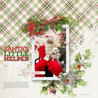 Santa’s Little Helper.jpeg