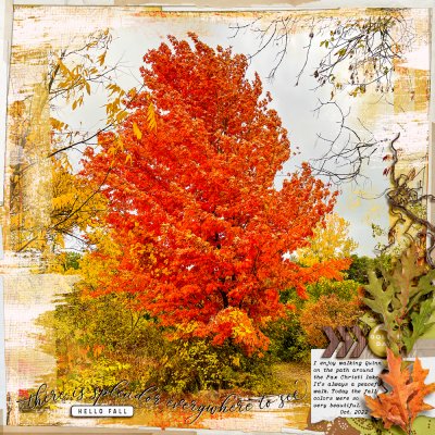 There is Splendor Everywhere to See