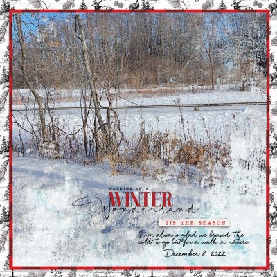 Walking in Winter