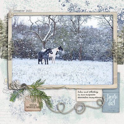 December Snow day