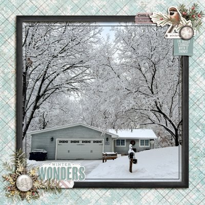 Winter Wonders