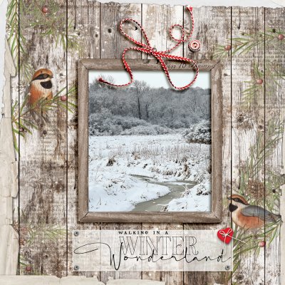 Walking in a Winter Wonderland