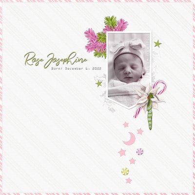 Rose Josephine - Blessing #4 12/6/22