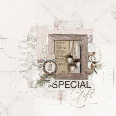 2022-12-27-SpecialGift.jpg