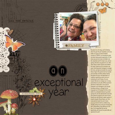 2023 01 02 Exceptional-year (Scraplift chain)