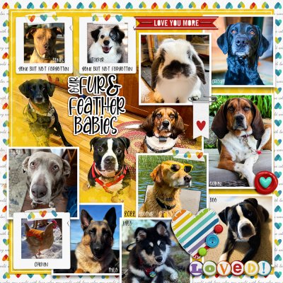 2022 Family Fur & Feather Babies