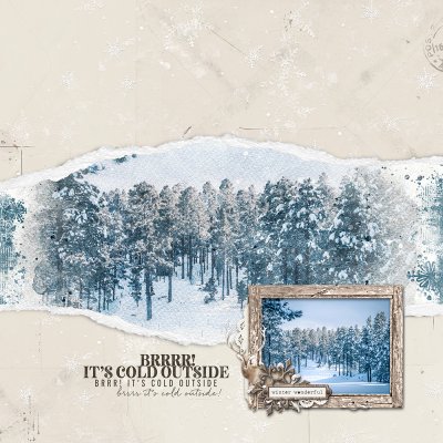 Ad Challenge - January snow