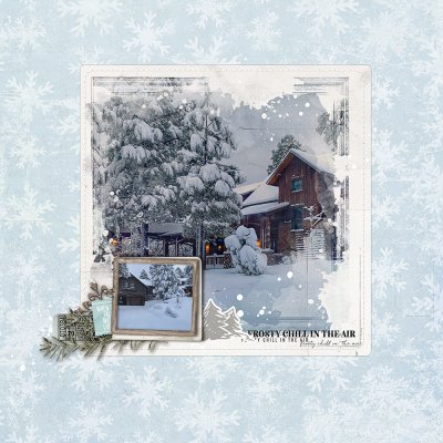 Scraplift Chain January